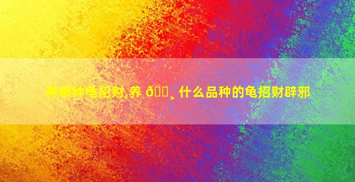 养哪种龟招财,养 🕸 什么品种的龟招财辟邪